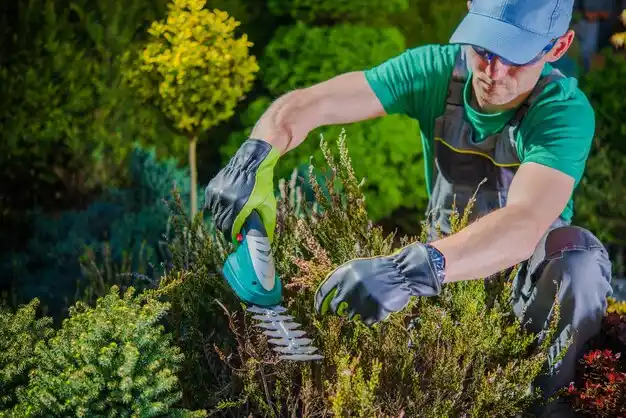 landscaping services Eagle
